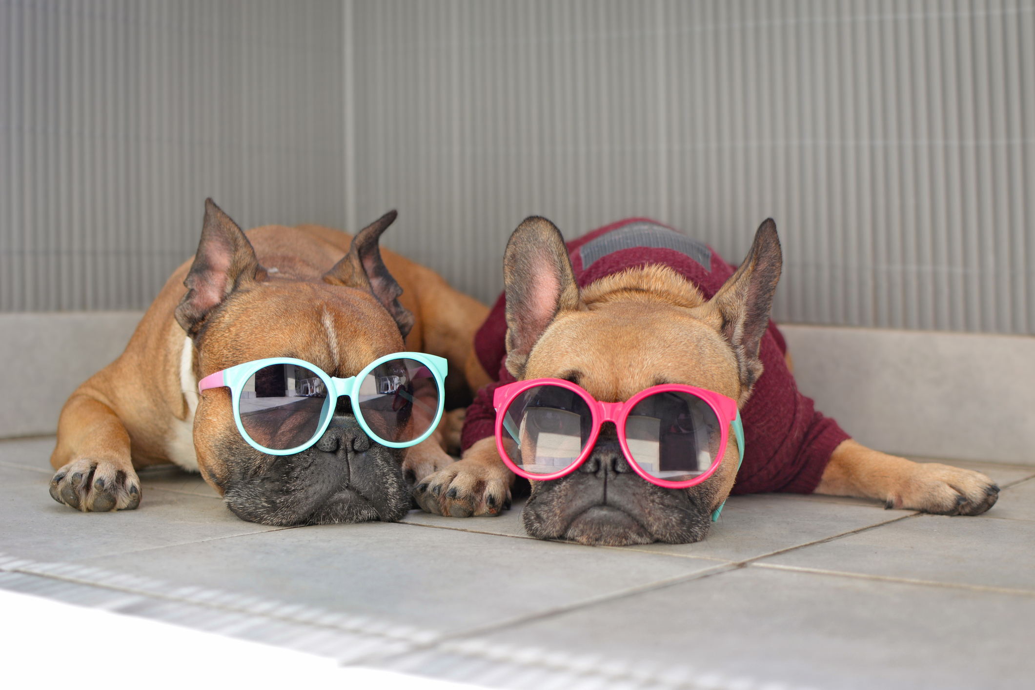 5 Signs Your Air Conditioning System Needs Attention Before Summer