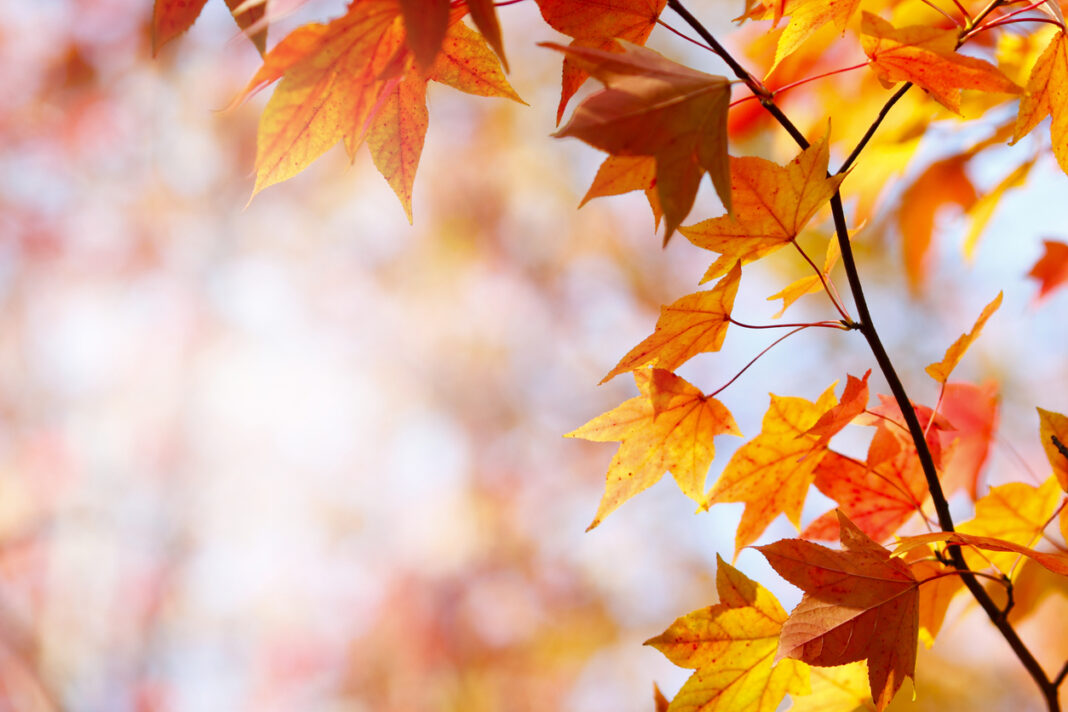 Air Con Units & Autumn / Winter