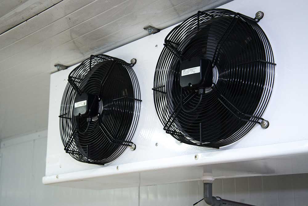 Ammonia Plant Rooms: Keeping Safety and Efficiency in Balance